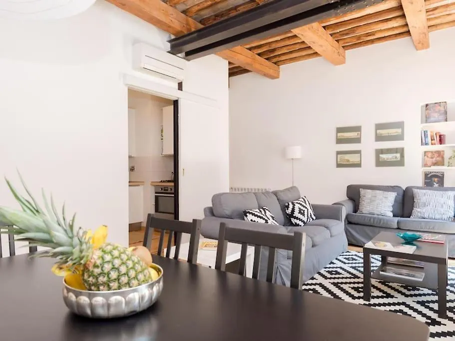 Trevi Fountain Luxury Apartment Rome